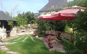 Bed And Breakfast Le Moulin Du Modon Proche Du Zooparc De Beauval À